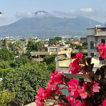 Terafi Pompeji