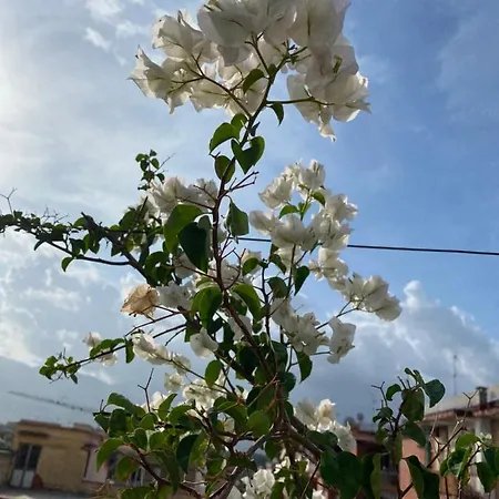 فندق مبيت وإفطار Terafi