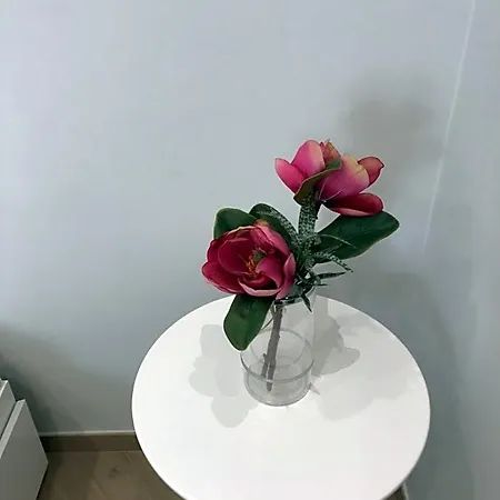 Terafi Bed & Breakfast